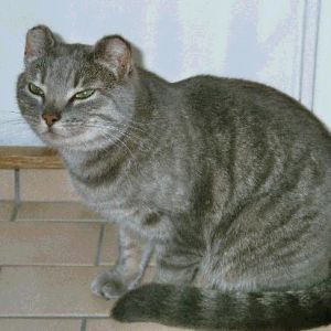 Mynta 2