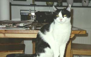 Lisa (fd Jessica)