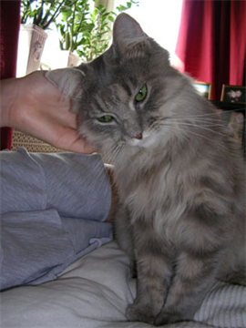 Ludvig 2