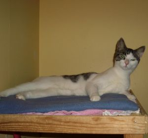 Fiona