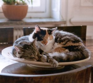 Javine & Juliana