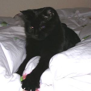 Vilma