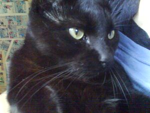 Spencer