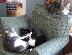 Milton, Ned, Ize, Valkyria 2