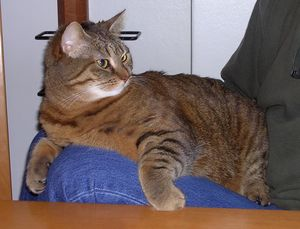 Sandy - del 3 2
