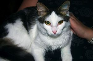 Ben