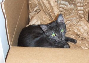 Spock o Speedy - del 2 2