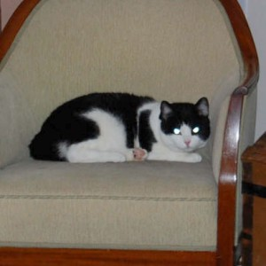Stumpen o Sandy Blue 2