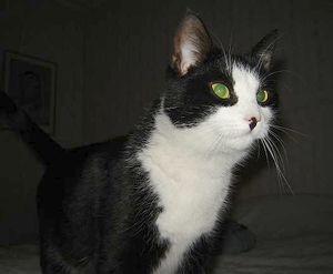 Zita 2