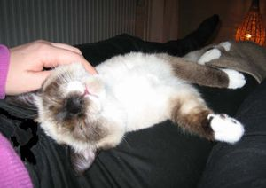Inky o Binky - hem nr 1 2
