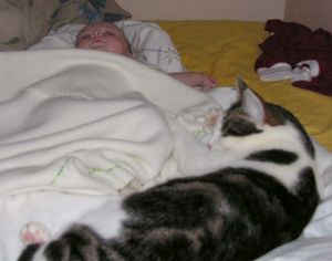 Chili 2 o Lazy 2 - del 2