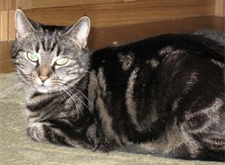 Tabitha 2