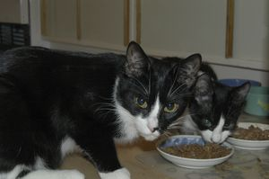 Millie - del 2