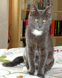 Fredde