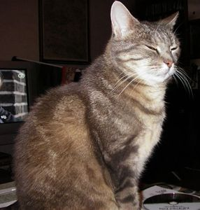 Lilian