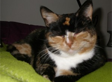 Mette 2