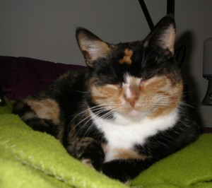Mette 2
