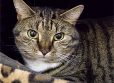 Mirada 2