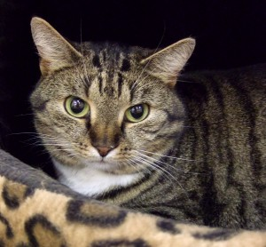 Mirada 2