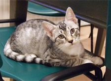 Isidor 2