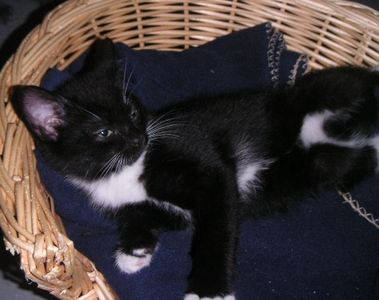Cilla