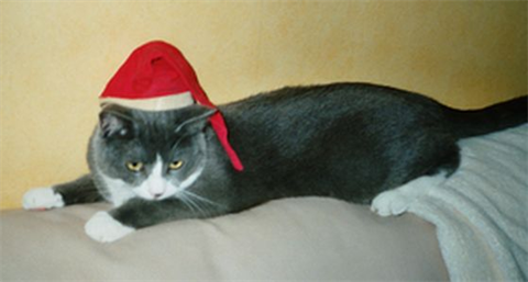 Helge - del 12