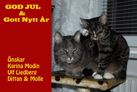 Julhälsning: Dittan