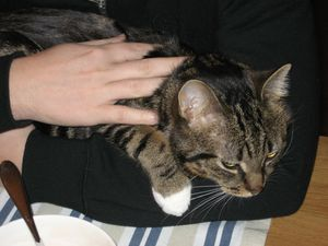 Nyårshälsning: Olivier 2