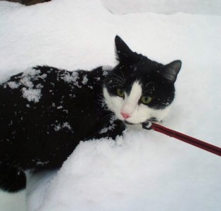 Herr Socka o Vilda Vilma - del 3