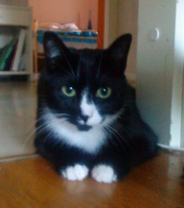 Herr Socka o Vilda Vilma - del 3 2