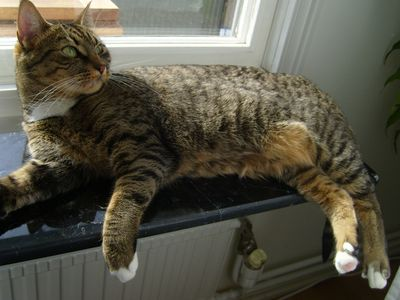 Mable - del 2