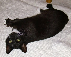 Jilly - hem nr 1 2
