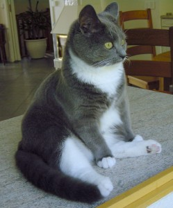 Teodor 2