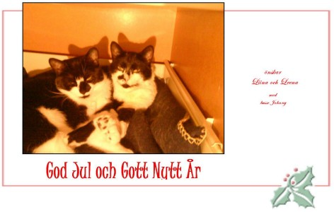 Julhälsning från Liina o Leena