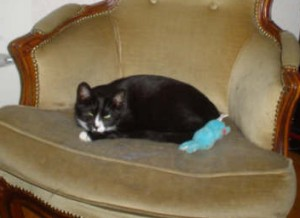 Herr Socka o Vilda Vilma 2