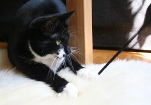 Chanel 2 (hem nr 2)