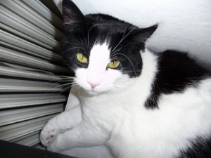 Ludmilla (hem nr 3) 2