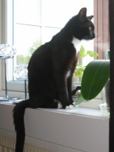 Balthazar