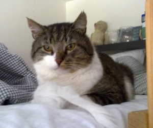Gary