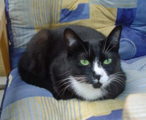 Herr Socka o Vilda Wilma - del 2 2