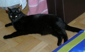 Oshki (o Sabine) 2
