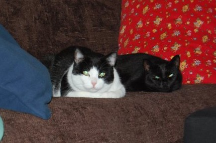 Stumpen o Sandy Blue - del 4
