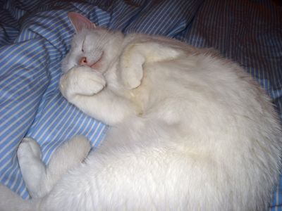 Winnie