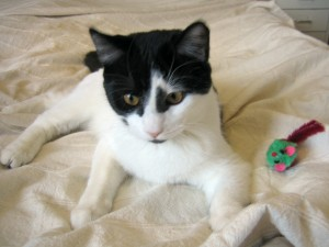 Fabiano 2