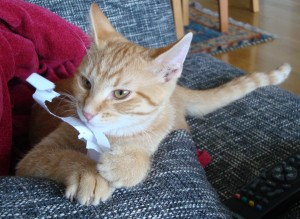 Fridolin o Filippin