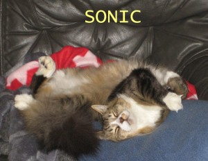 Sonic 2