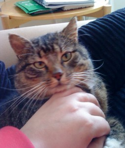 Rutger
