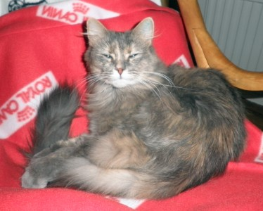 Ingela