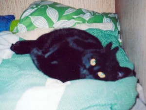 Lussi 2