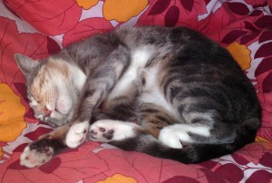 Almina